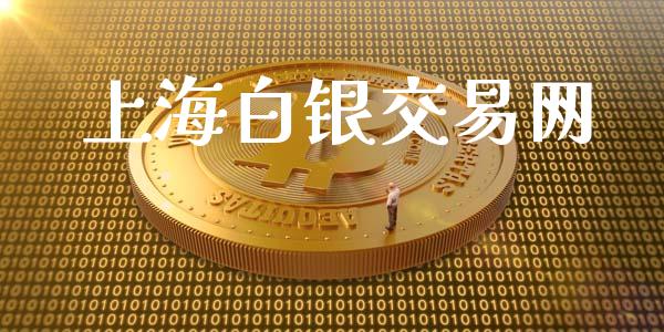 上海白银交易网_https://wap.fcdydaikuan.com_理财顾问_第1张
