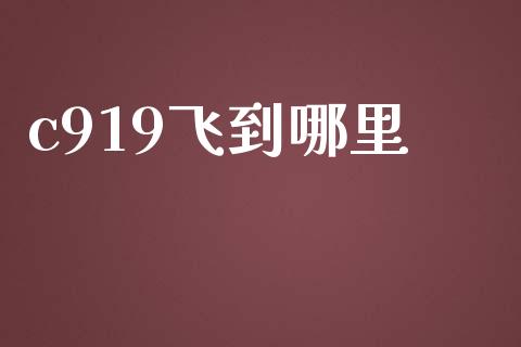 c919飞到哪里_https://wap.fcdydaikuan.com_新股数据_第1张