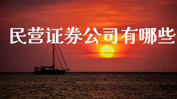 民营证券公司有哪些_https://wap.fcdydaikuan.com_投资策略_第1张