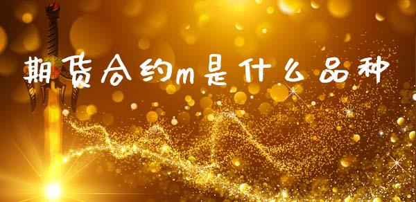 期货合约m是什么品种_https://wap.fcdydaikuan.com_投资策略_第1张
