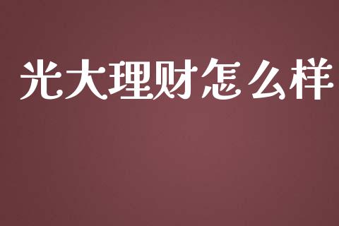 光大理财怎么样_https://wap.fcdydaikuan.com_期货品种_第1张