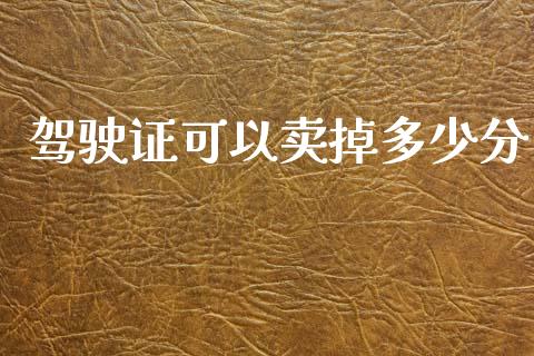 驾驶证可以卖掉多少分_https://wap.fcdydaikuan.com_国际投资_第1张