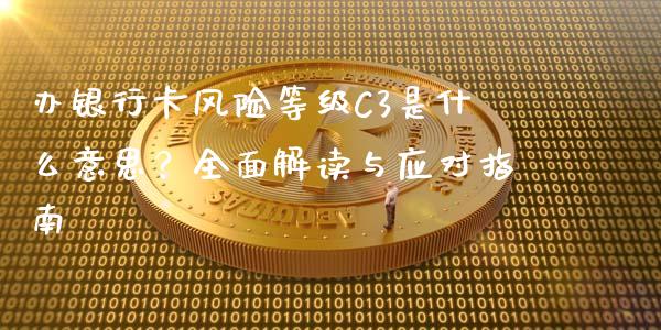 办银行卡风险等级C3是什么意思？全面解读与应对指南_https://wap.fcdydaikuan.com_投资策略_第1张