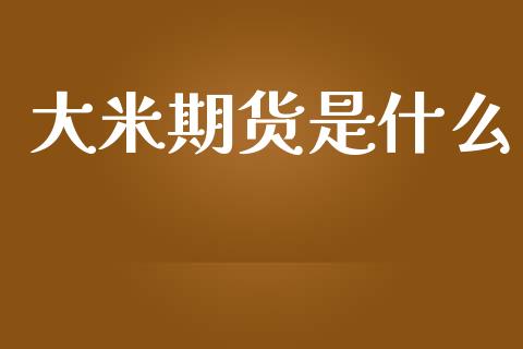 大米期货是什么_https://wap.fcdydaikuan.com_理财顾问_第1张