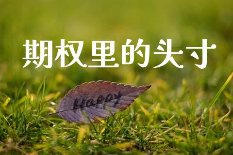 期权里的头寸_https://wap.fcdydaikuan.com_投资策略_第1张