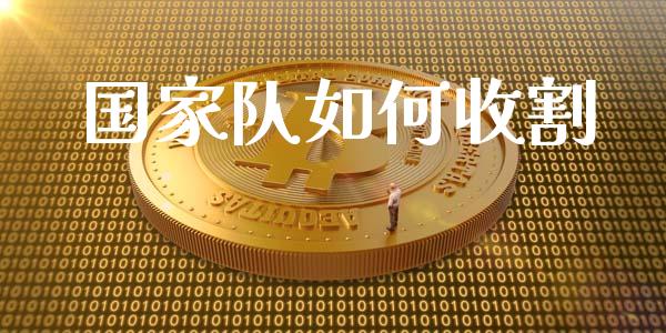 国家队如何收割_https://wap.fcdydaikuan.com_新股数据_第1张