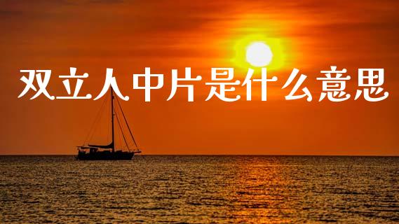 双立人中片是什么意思_https://wap.fcdydaikuan.com_国际投资_第1张
