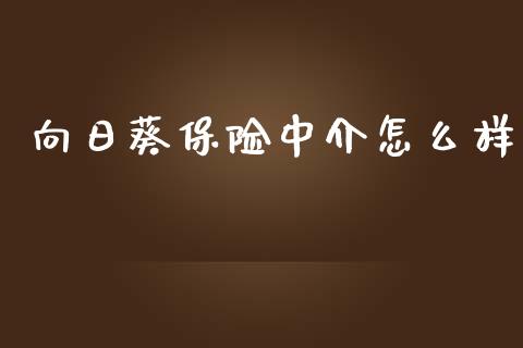 向日葵保险中介怎么样_https://wap.fcdydaikuan.com_国际投资_第1张