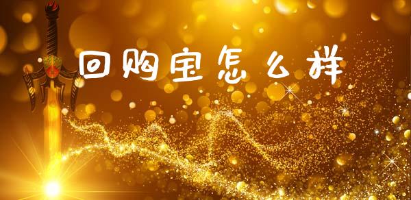 回购宝怎么样_https://wap.fcdydaikuan.com_国际投资_第1张