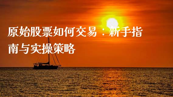 原始股票如何交易：新手指南与实操策略_https://wap.fcdydaikuan.com_理财顾问_第1张