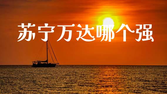 苏宁万达哪个强_https://wap.fcdydaikuan.com_金融机构_第1张