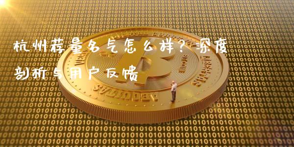 杭州荐量名气怎么样？深度剖析与用户反馈_https://wap.fcdydaikuan.com_国际投资_第1张