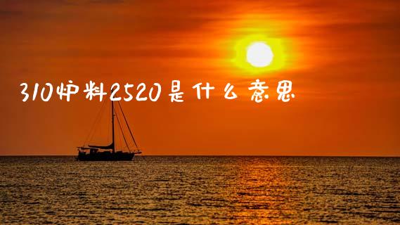 310炉料2520是什么意思_https://wap.fcdydaikuan.com_期货品种_第1张