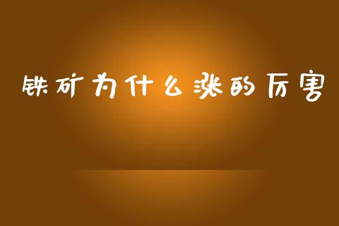 铁矿为什么涨的厉害_https://wap.fcdydaikuan.com_期货品种_第1张