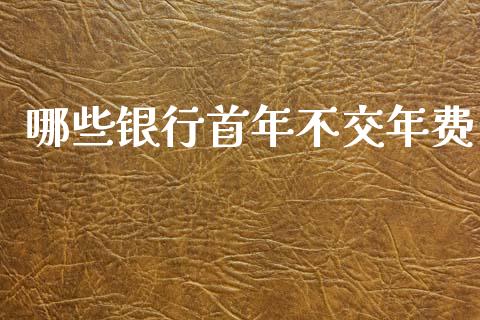 哪些银行首年不交年费_https://wap.fcdydaikuan.com_投资策略_第1张