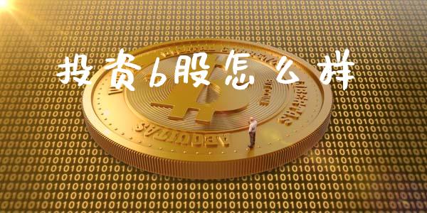投资b股怎么样_https://wap.fcdydaikuan.com_金融机构_第1张