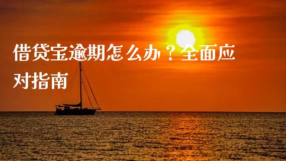 借贷宝逾期怎么办？全面应对指南_https://wap.fcdydaikuan.com_新股数据_第1张