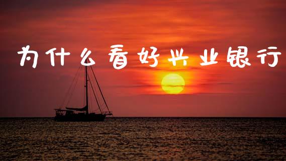 为什么看好兴业银行_https://wap.fcdydaikuan.com_理财顾问_第1张
