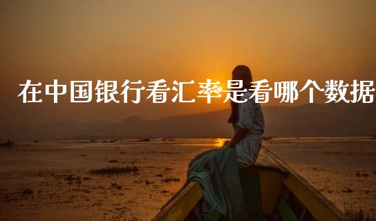 在中国银行看汇率是看哪个数据_https://wap.fcdydaikuan.com_新股数据_第1张