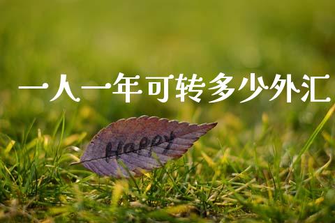 一人一年可转多少外汇_https://wap.fcdydaikuan.com_期货品种_第1张