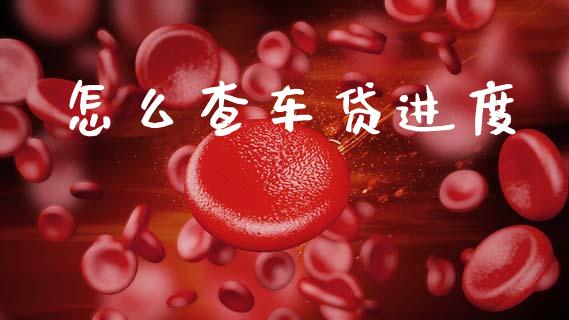 怎么查车贷进度_https://wap.fcdydaikuan.com_新股数据_第1张