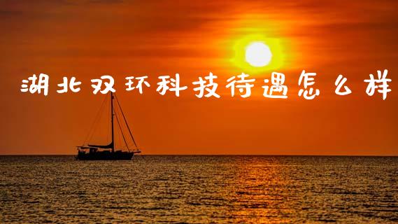湖北双环科技待遇怎么样_https://wap.fcdydaikuan.com_投资策略_第1张