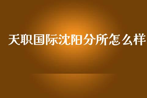 天职国际沈阳分所怎么样_https://wap.fcdydaikuan.com_期货品种_第1张