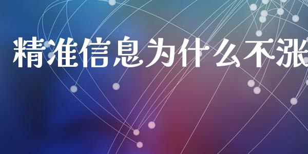 精准信息为什么不涨_https://wap.fcdydaikuan.com_国际投资_第1张