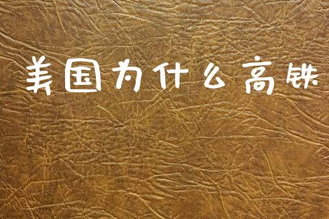 美国为什么高铁_https://wap.fcdydaikuan.com_投资策略_第1张