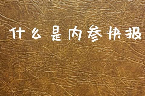 什么是内参快报_https://wap.fcdydaikuan.com_投资策略_第1张