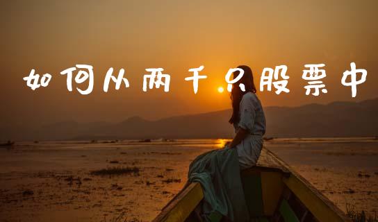 如何从两千只股票中_https://wap.fcdydaikuan.com_理财顾问_第1张