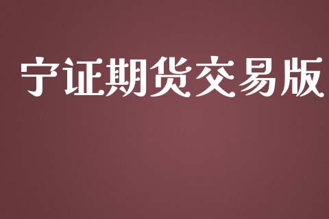 宁证期货交易版_https://wap.fcdydaikuan.com_投资策略_第1张
