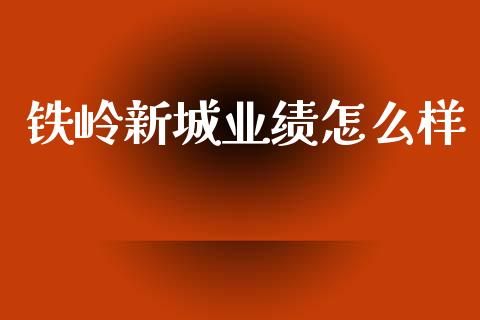 铁岭新城业绩怎么样_https://wap.fcdydaikuan.com_理财顾问_第1张