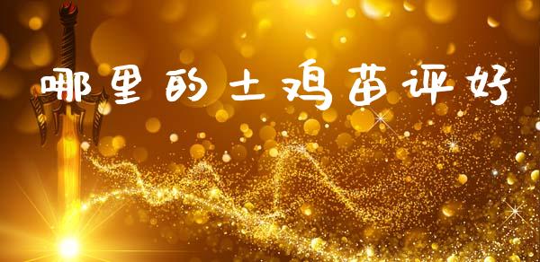 哪里的土鸡苗评好_https://wap.fcdydaikuan.com_理财顾问_第1张
