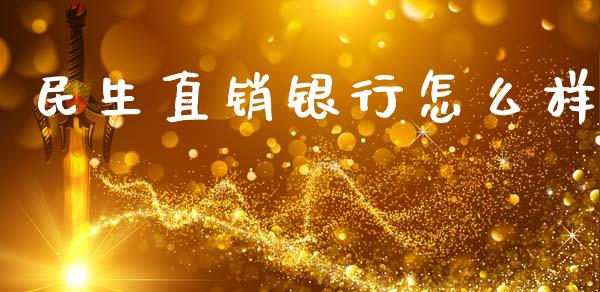 民生直销银行怎么样_https://wap.fcdydaikuan.com_国际投资_第1张