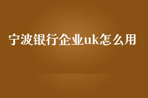 宁波银行企业uk怎么用_https://wap.fcdydaikuan.com_国际投资_第1张