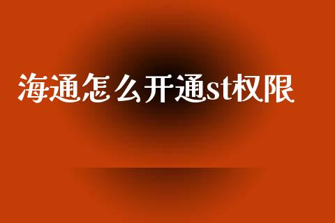 海通怎么开通st权限_https://wap.fcdydaikuan.com_国际投资_第1张
