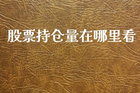 股票持仓量在哪里看_https://wap.fcdydaikuan.com_金融机构_第1张