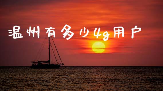 温州有多少4g用户_https://wap.fcdydaikuan.com_国际投资_第1张