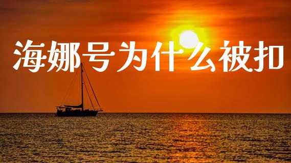 海娜号为什么被扣_https://wap.fcdydaikuan.com_国际投资_第1张