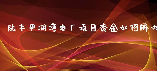 陆丰甲湖湾电厂项目资金如何解决_https://wap.fcdydaikuan.com_金融机构_第1张