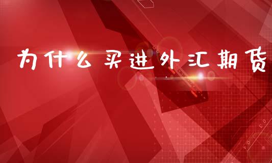 为什么买进外汇期货_https://wap.fcdydaikuan.com_期货品种_第1张