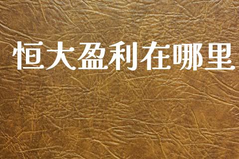 恒大盈利在哪里_https://wap.fcdydaikuan.com_新股数据_第1张