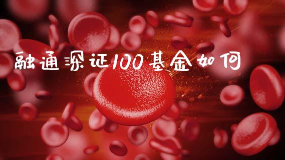 融通深证100基金如何_https://wap.fcdydaikuan.com_期货品种_第1张