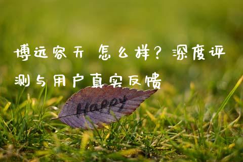 博远容天 怎么样？深度评测与用户真实反馈_https://wap.fcdydaikuan.com_金融机构_第1张