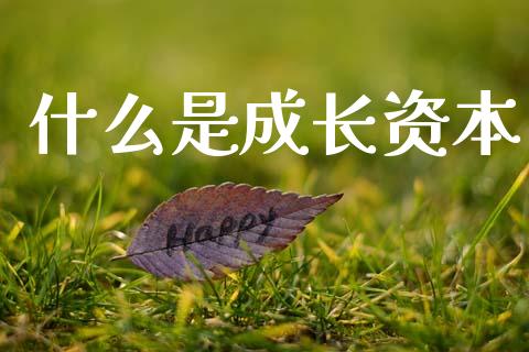 什么是成长资本_https://wap.fcdydaikuan.com_金融机构_第1张