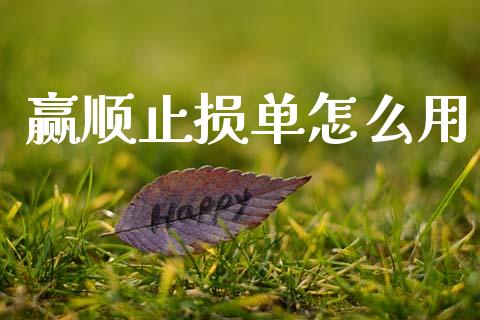 赢顺止损单怎么用_https://wap.fcdydaikuan.com_国际投资_第1张