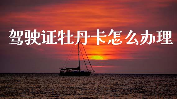 驾驶证牡丹卡怎么办理_https://wap.fcdydaikuan.com_投资策略_第1张