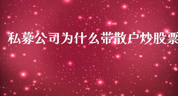 私募公司为什么带散户炒股票_https://wap.fcdydaikuan.com_理财顾问_第1张