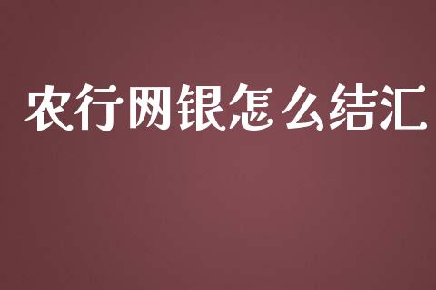 农行网银怎么结汇_https://wap.fcdydaikuan.com_国际投资_第1张